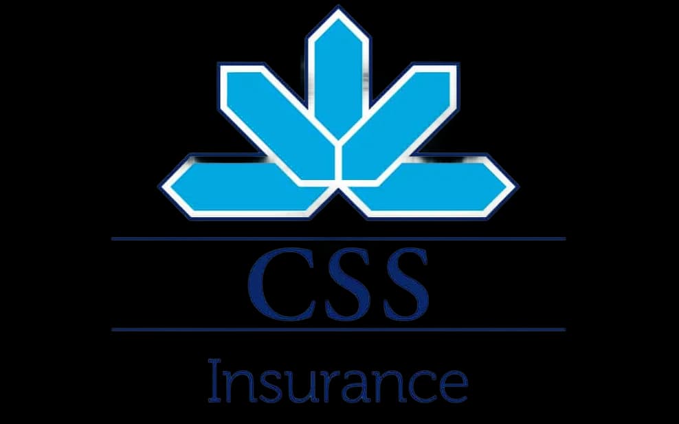 CSS Logo